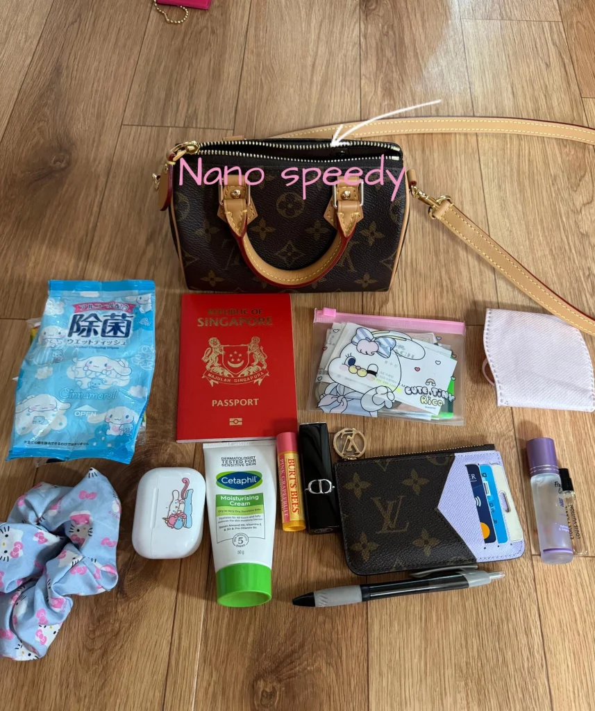 What Fits in My Louis Vuitton Nano Speedy